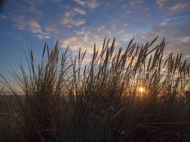 Pakhuis 5 Katwijk aan Zee Εξωτερικό φωτογραφία