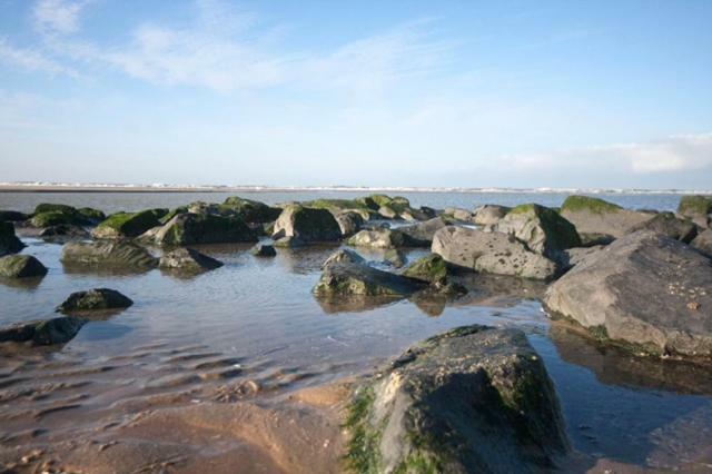 Pakhuis 5 Katwijk aan Zee Εξωτερικό φωτογραφία